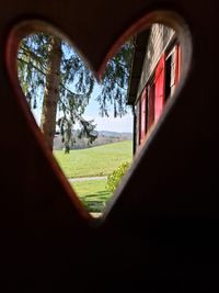 WhatsApp Image 2026-03-22 at 11.00.20