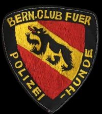 WhatsApp Bild 2024-11-16 um 05.03.37_2de579ca