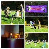 2019-10-26 (2)-COLLAGE